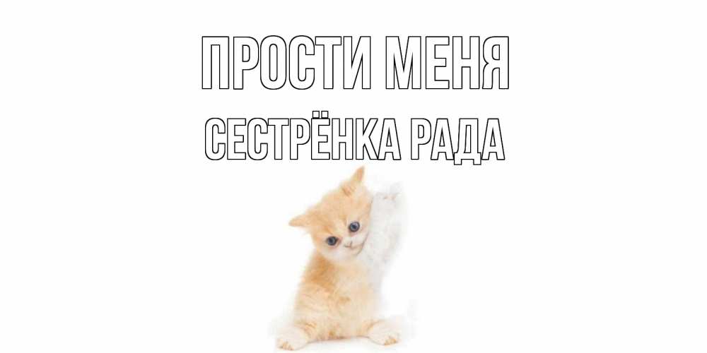 Открытка на каждый день с именем, Сестрёнка-Рада Прости меня кот Прикольная открытка с пожеланием онлайн скачать бесплатно 