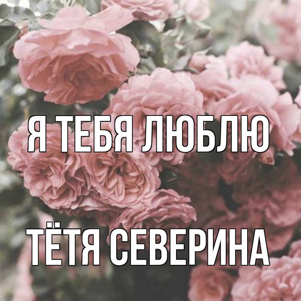 Открытка на каждый день с именем, Тётя-Северина Я тебя люблю розы 3 Прикольная открытка с пожеланием онлайн скачать бесплатно 