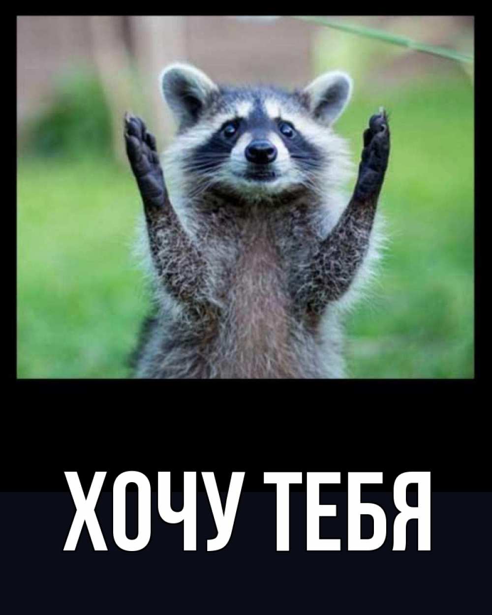 Открытка на каждый день с именем, Хочу-тебя Главная хорошее настроение утречком Прикольная открытка с пожеланием онлайн скачать бесплатно 