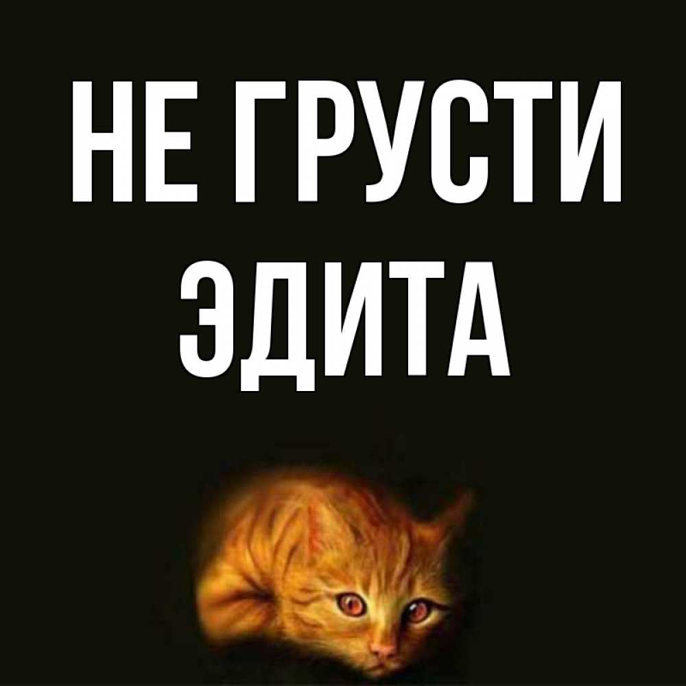Открытка на каждый день с именем, Эдита Не грусти лежащий кот в темноте Прикольная открытка с пожеланием онлайн скачать бесплатно 