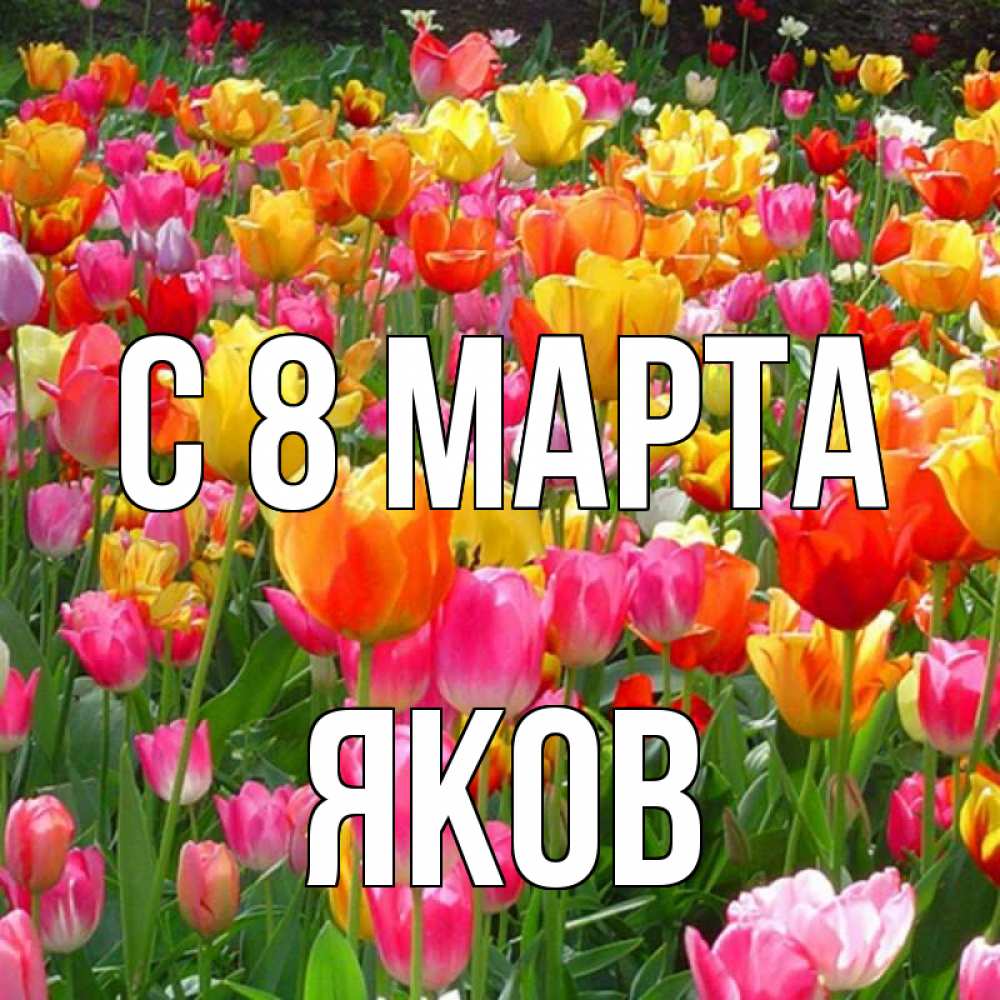 Открытка на каждый день с именем, Яков С 8 МАРТА на международный женский день Прикольная открытка с пожеланием онлайн скачать бесплатно 