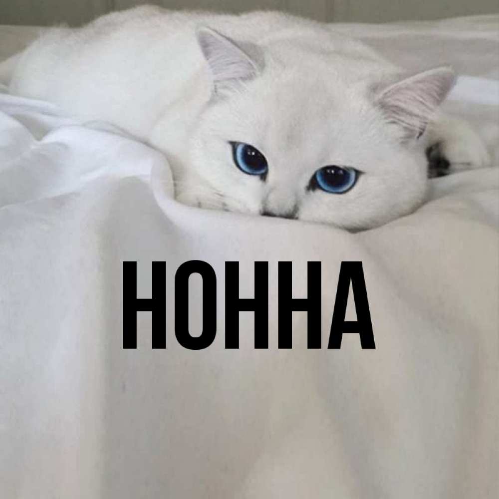 Имена открытки нонна