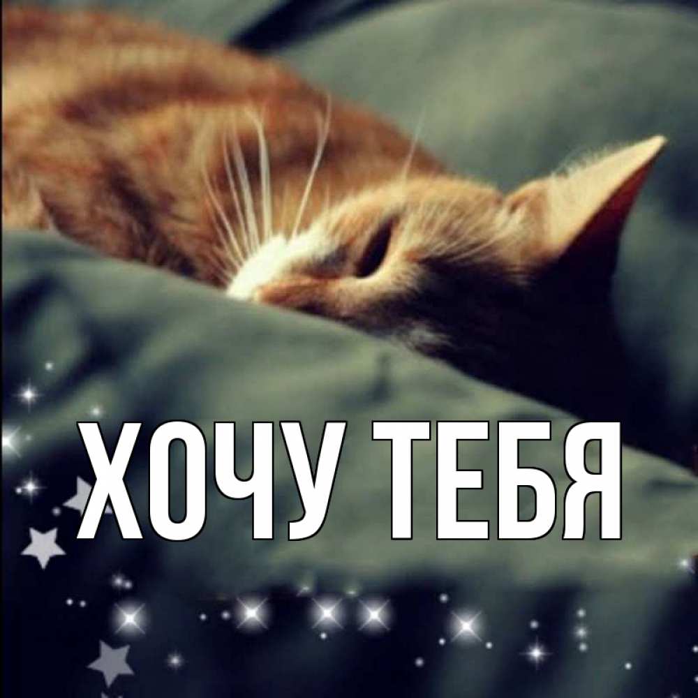 Открытка на каждый день с именем, Хочу-тебя Главная кроватка Прикольная открытка с пожеланием онлайн скачать бесплатно 