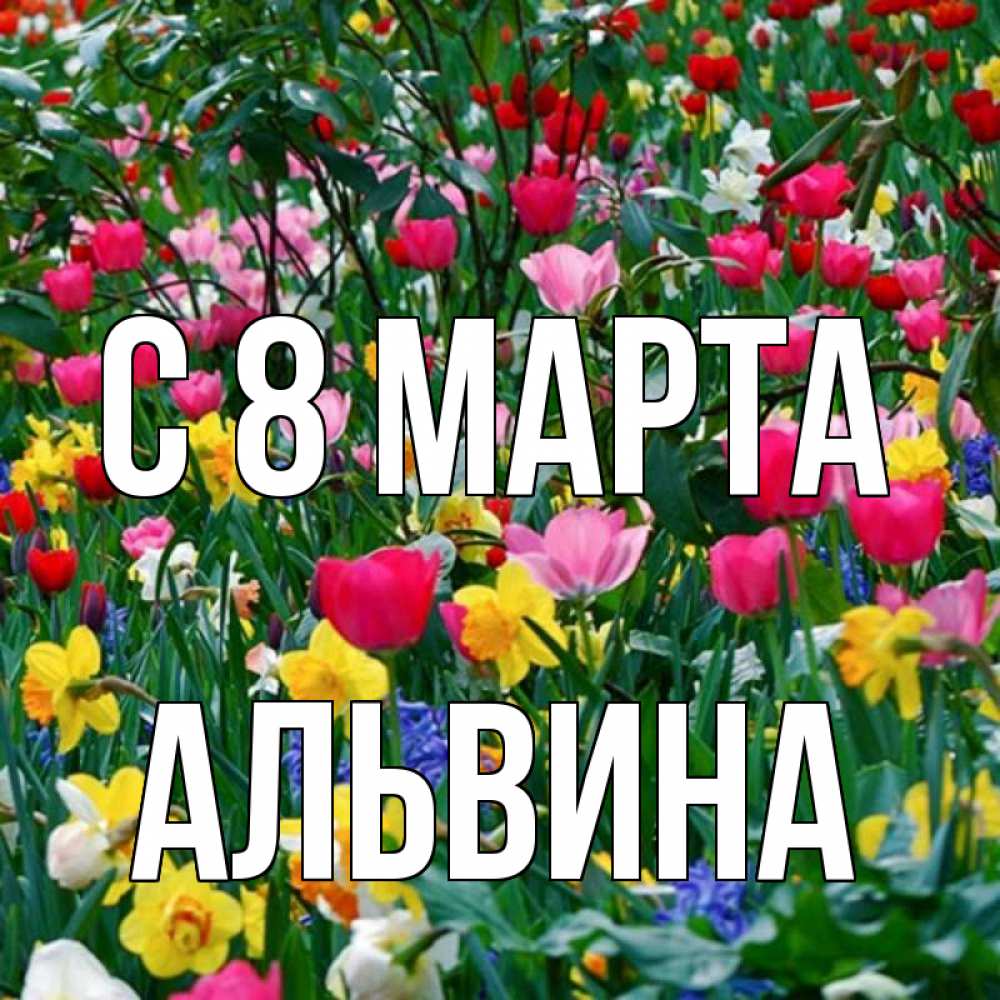 Открытка на каждый день с именем, Альвина С 8 МАРТА с международным женским днем поздравления для женщины Прикольная открытка с пожеланием онлайн скачать бесплатно 