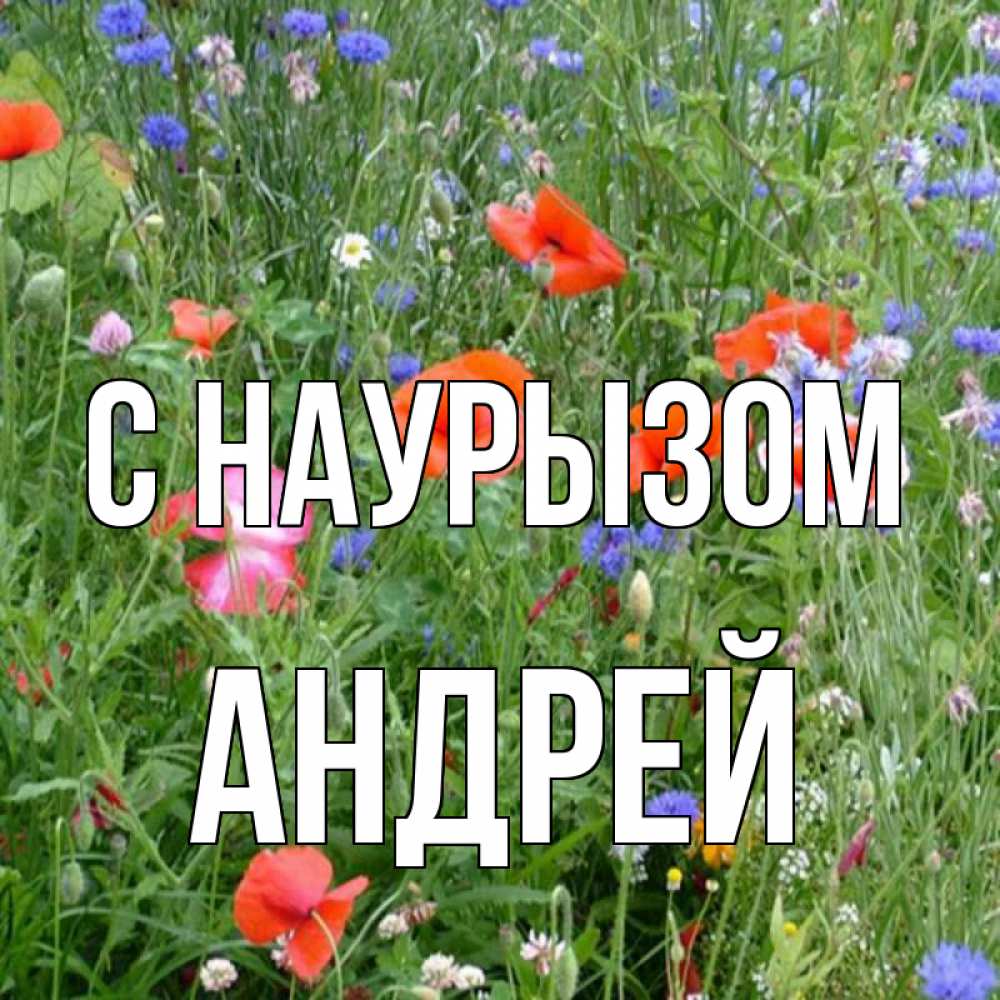 Открытка на каждый день с именем, Андрей С наурызом праздник весны наурыз супер открытка Прикольная открытка с пожеланием онлайн скачать бесплатно 