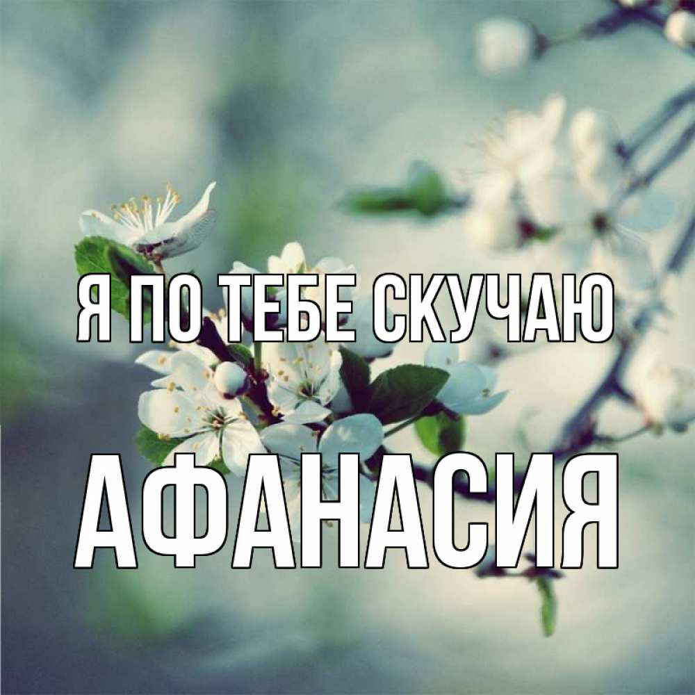 Открытка на каждый день с именем, Афанасия Я по тебе скучаю весна Прикольная открытка с пожеланием онлайн скачать бесплатно 
