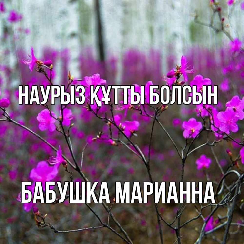 Открытка на каждый день с именем, Бабушка-Марианна Наурыз құтты болсын дикие цветы Прикольная открытка с пожеланием онлайн скачать бесплатно 