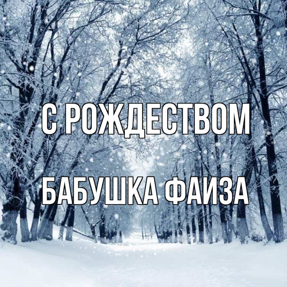 Открытка на каждый день с именем, Бабушка-Фаиза С рождеством снег, лес, парк Прикольная открытка с пожеланием онлайн скачать бесплатно 