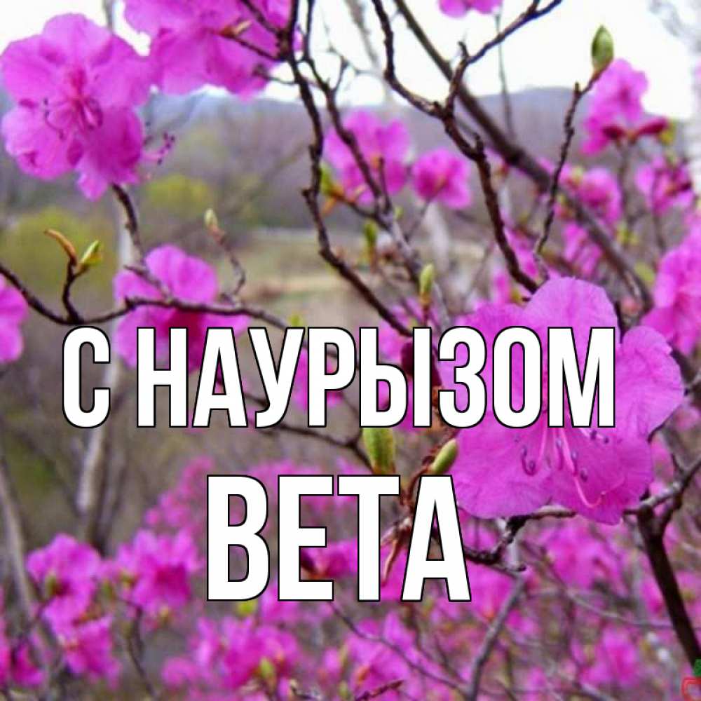 Открытка на каждый день с именем, Вета С наурызом праздник весны наурыз Прикольная открытка с пожеланием онлайн скачать бесплатно 