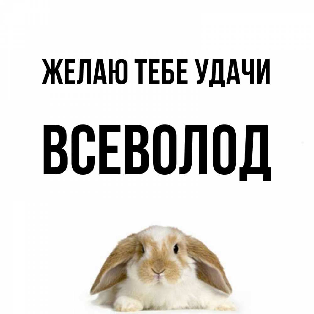 Открытка на каждый день с именем, Всеволод Желаю тебе удачи открытки с произвольным текстом который можно вставить в открытку и создать ее самостоятельно бесплатно онлайн Прикольная открытка с пожеланием онлайн скачать бесплатно 