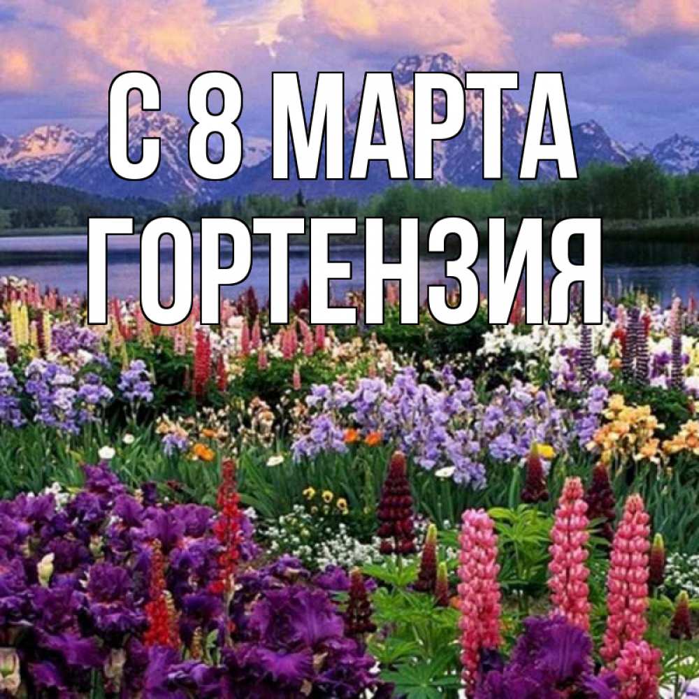 Открытка на каждый день с именем, Гортензия С 8 МАРТА международный женский день Прикольная открытка с пожеланием онлайн скачать бесплатно 