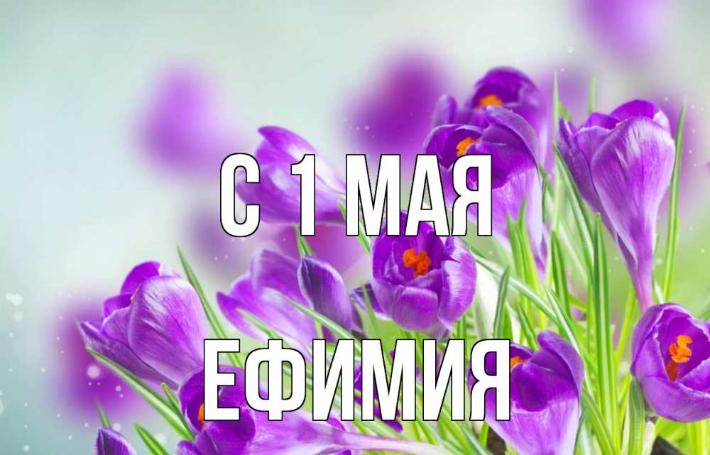 Открытка на каждый день с именем, Ефимия С 1 мая 1 мая Прикольная открытка с пожеланием онлайн скачать бесплатно 