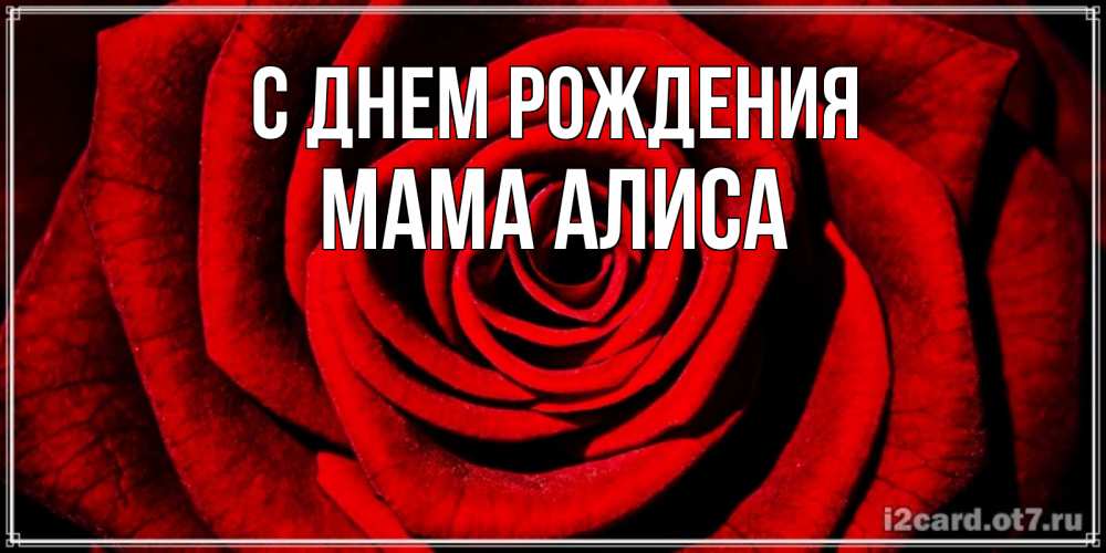 Открытка на каждый день с именем, Мама-Алиса С днем рождения алая роза Прикольная открытка с пожеланием онлайн скачать бесплатно 