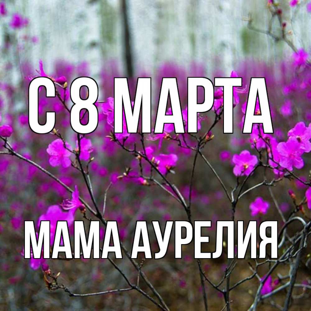Открытка на каждый день с именем, Мама-Аурелия С 8 МАРТА дикие цветы Прикольная открытка с пожеланием онлайн скачать бесплатно 