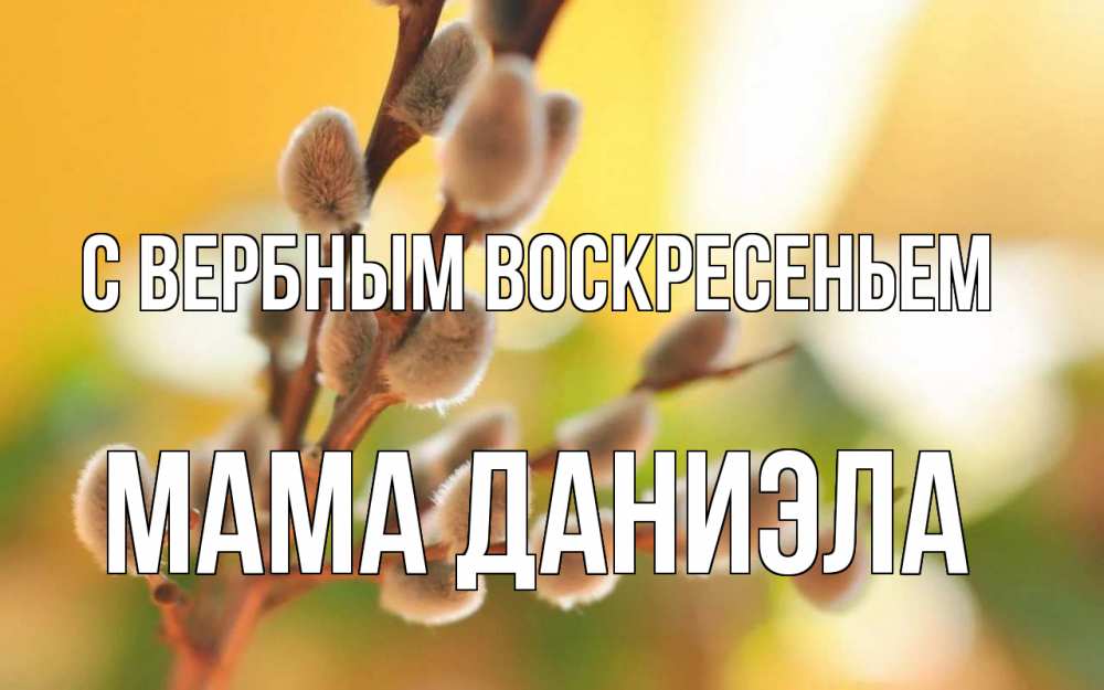 Открытка на каждый день с именем, Мама-Даниэла С вербным воскресеньем верба Прикольная открытка с пожеланием онлайн скачать бесплатно 