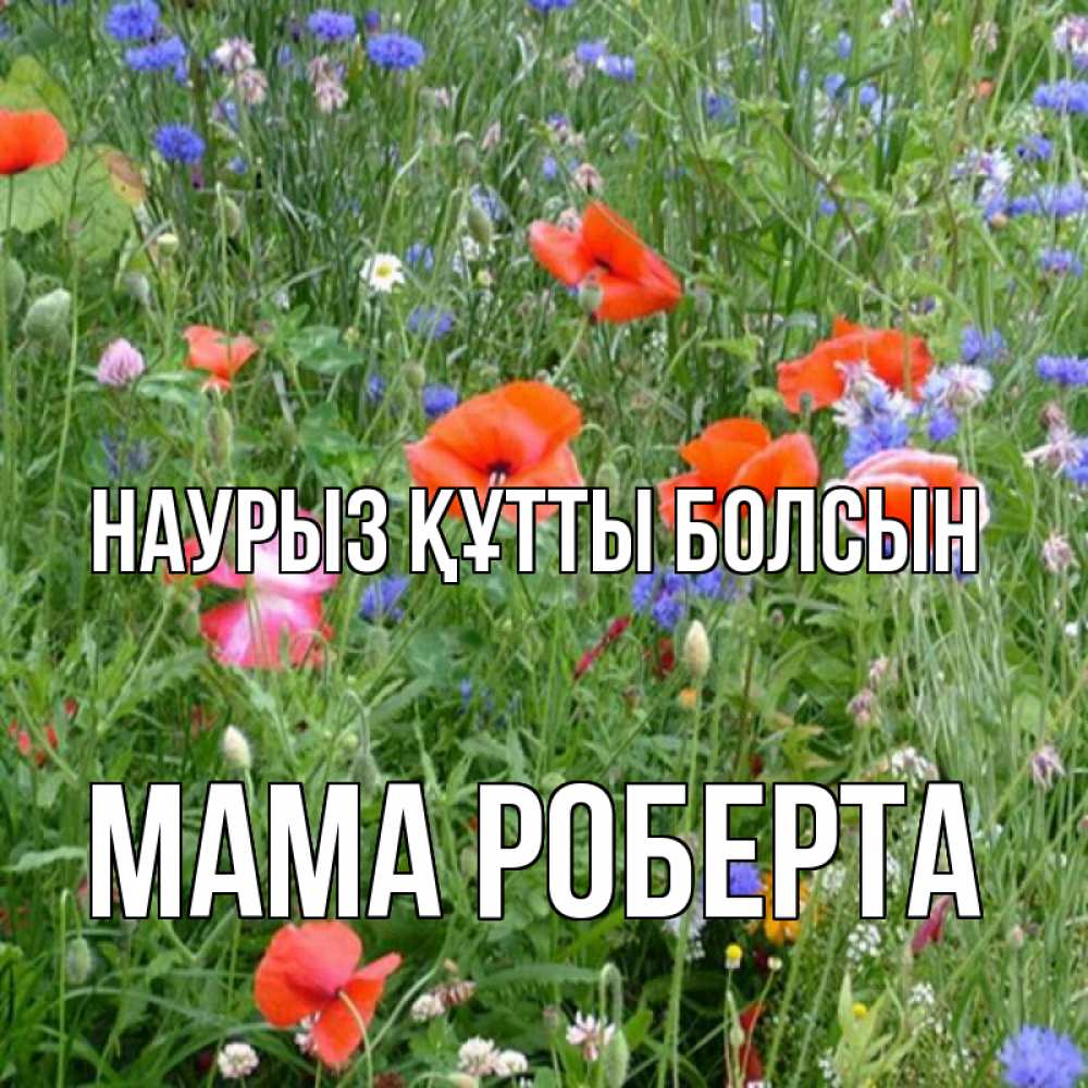 Открытка на каждый день с именем, Мама-Роберта Наурыз құтты болсын наурыз  4 Прикольная открытка с пожеланием онлайн скачать бесплатно 