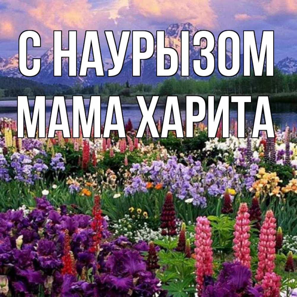 Открытка на каждый день с именем, Мама-Харита С наурызом праздник весны наурыз Прикольная открытка с пожеланием онлайн скачать бесплатно 