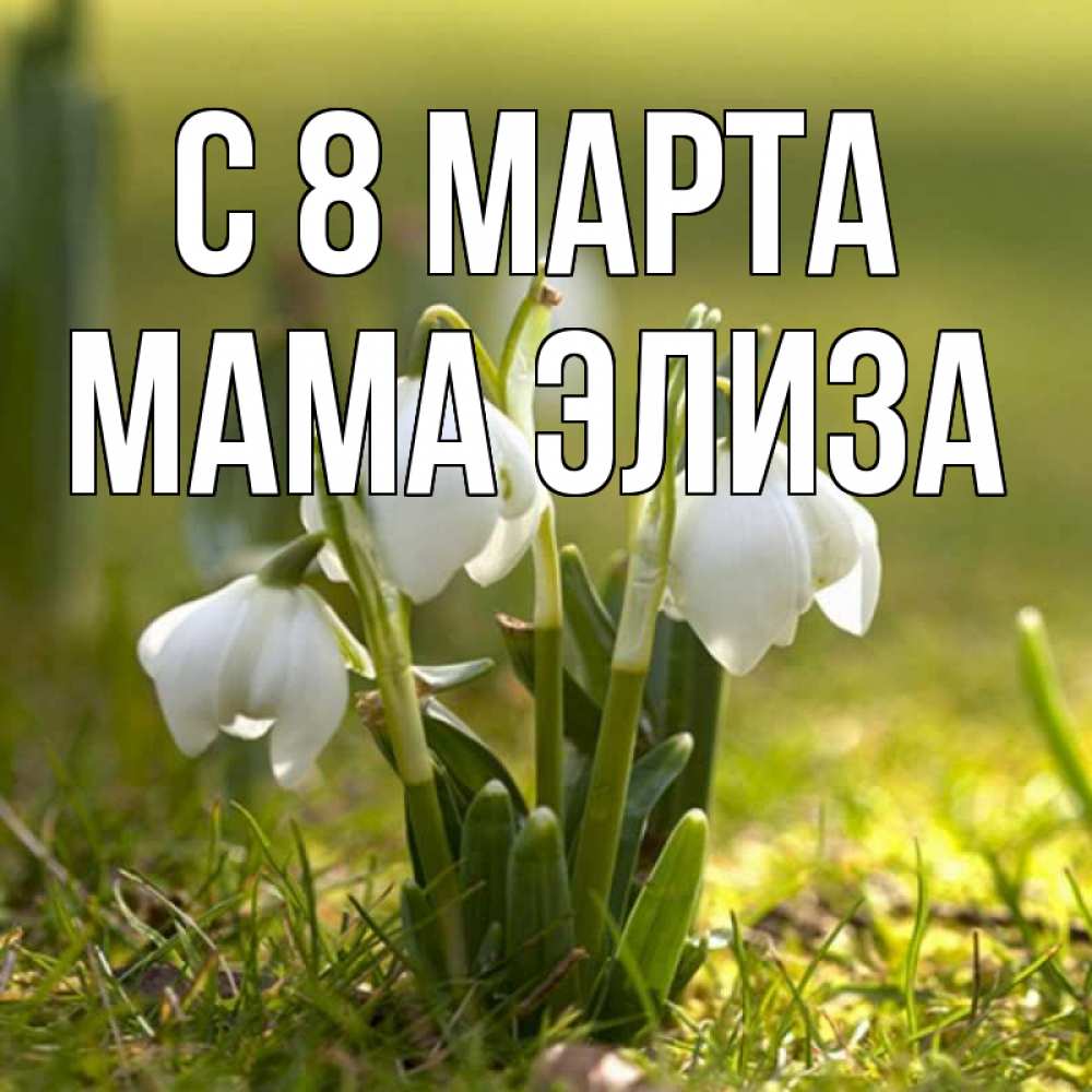 Открытка на каждый день с именем, Мама-Элиза С 8 МАРТА ранние цветы 2 Прикольная открытка с пожеланием онлайн скачать бесплатно 