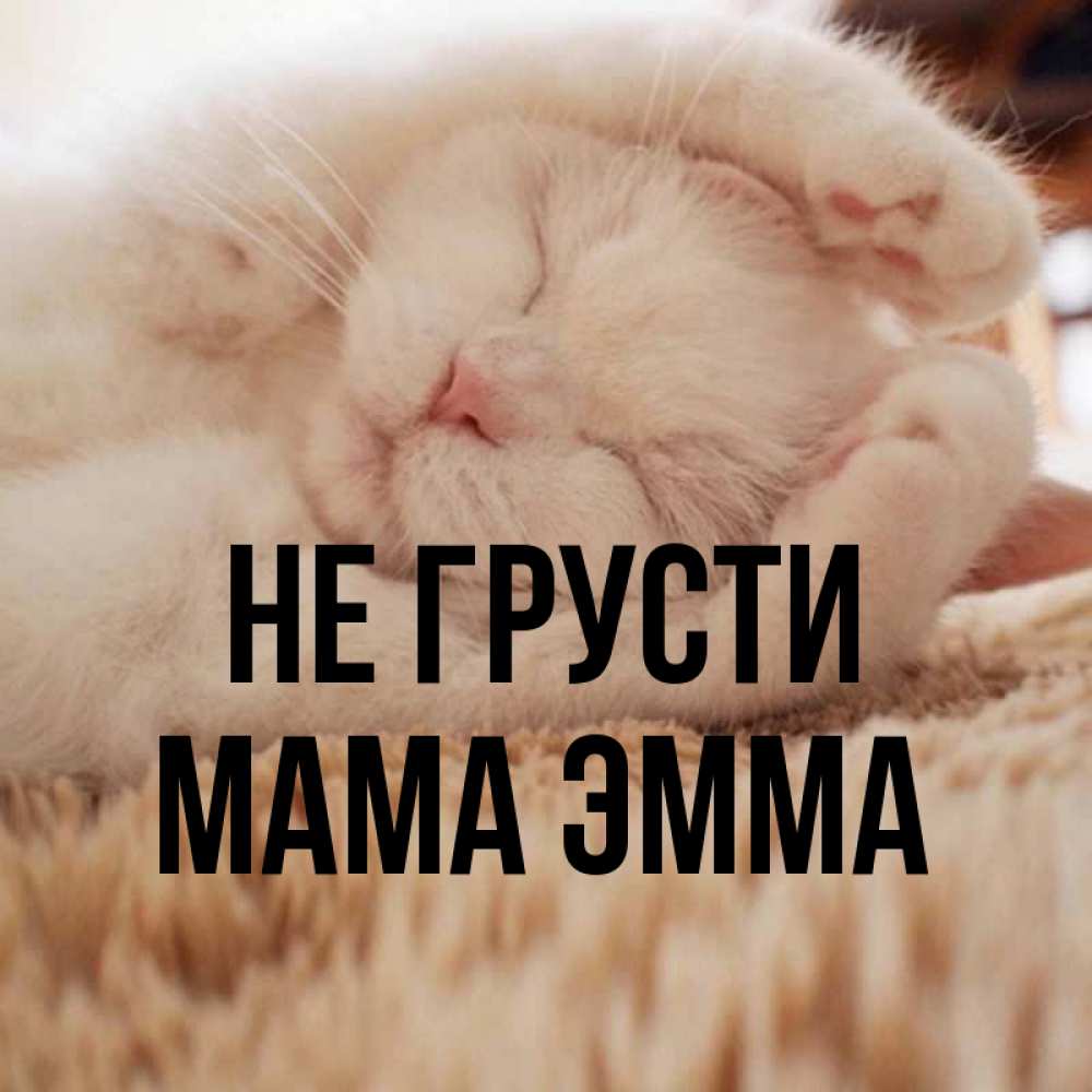 Открытка на каждый день с именем, Мама-Эмма Не грусти Котенок спит Прикольная открытка с пожеланием онлайн скачать бесплатно 