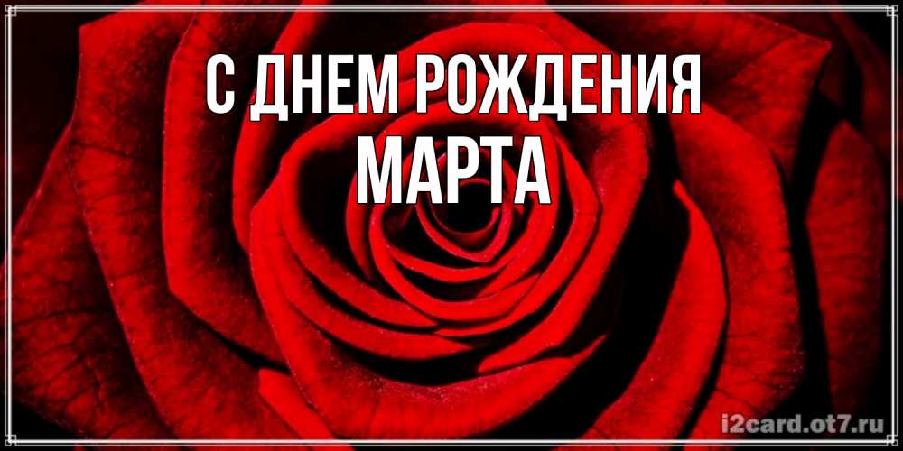 Открытка на каждый день с именем, Марта С днем рождения алая роза Прикольная открытка с пожеланием онлайн скачать бесплатно 