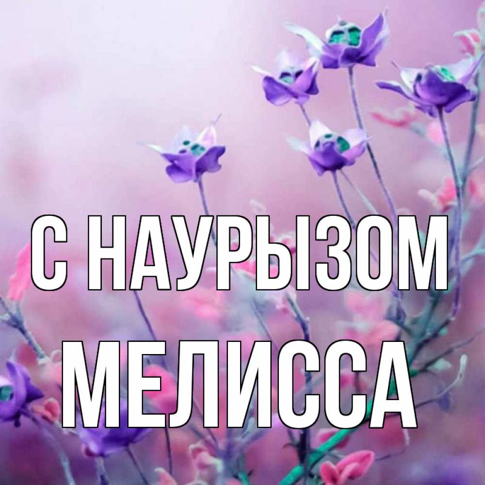 Открытка на каждый день с именем, Мелисса С наурызом международный женский день 2 Прикольная открытка с пожеланием онлайн скачать бесплатно 