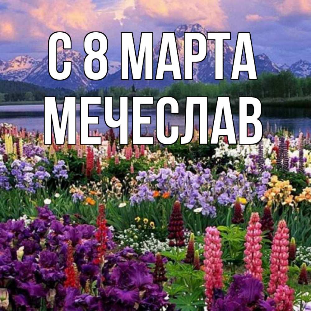 Открытка на каждый день с именем, Мечеслав С 8 МАРТА международный женский день Прикольная открытка с пожеланием онлайн скачать бесплатно 