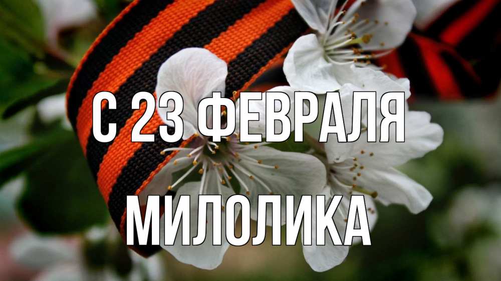 Открытка на каждый день с именем, Милолика С 23 февраля 23 февраля Прикольная открытка с пожеланием онлайн скачать бесплатно 