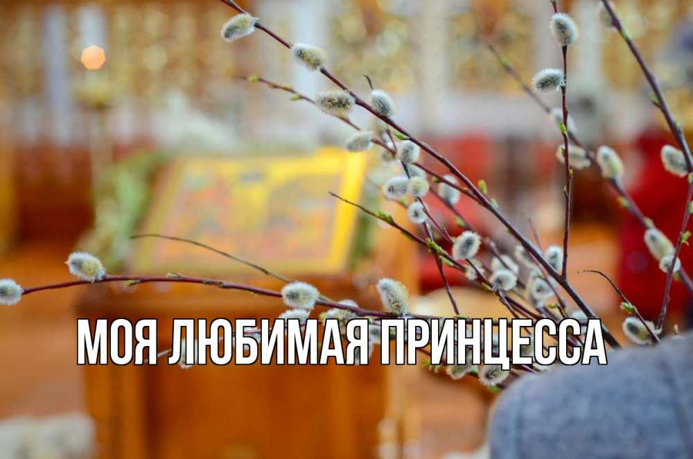 Открытка на каждый день с именем, Моя-Любимая-Принцесса Главная верба Прикольная открытка с пожеланием онлайн скачать бесплатно 