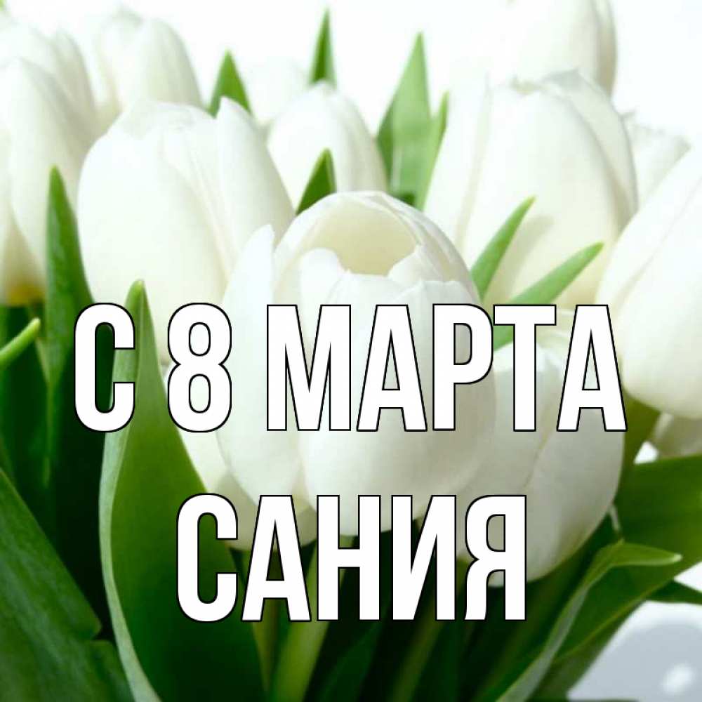 Открытка на каждый день с именем, Сания С 8 МАРТА цветы Прикольная открытка с пожеланием онлайн скачать бесплатно 
