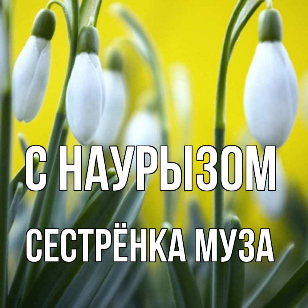 Открытка на каждый день с именем, Сестрёнка-Муза С наурызом весенние цветы Прикольная открытка с пожеланием онлайн скачать бесплатно 