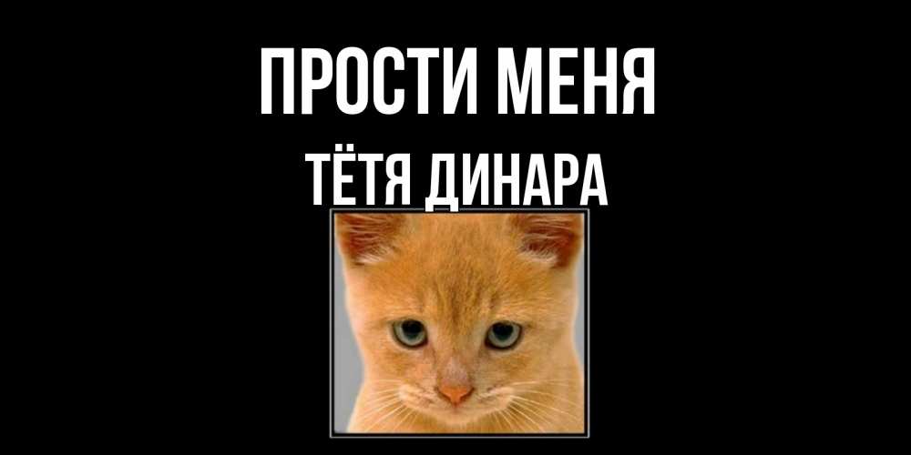 Открытка на каждый день с именем, Тётя-Динара Прости меня рыжий грустный кот просит прощения Прикольная открытка с пожеланием онлайн скачать бесплатно 