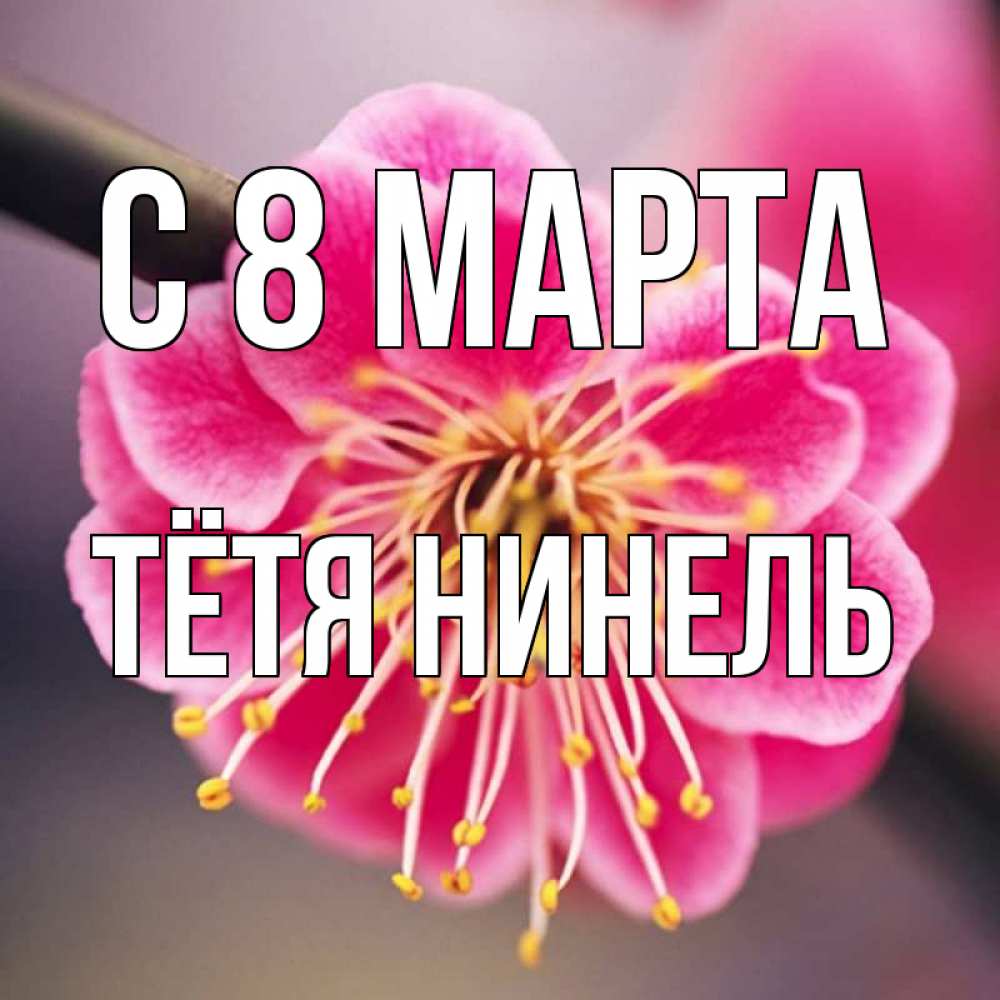 Открытка на каждый день с именем, Тётя-Нинель С 8 марта цветы Прикольная открытка с пожеланием онлайн скачать бесплатно 