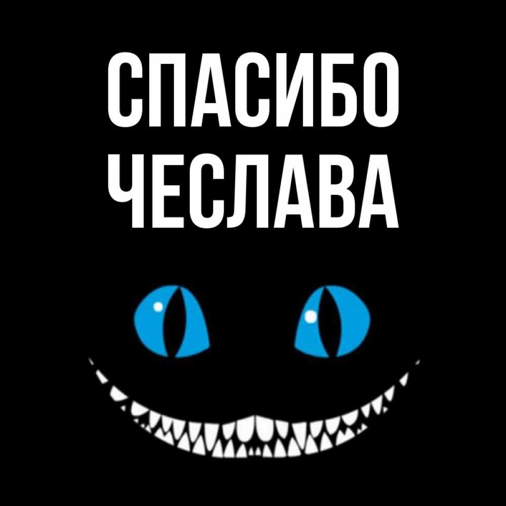 Открытка на каждый день с именем, Чеслава Спасибо благодарю от чеширика Прикольная открытка с пожеланием онлайн скачать бесплатно 