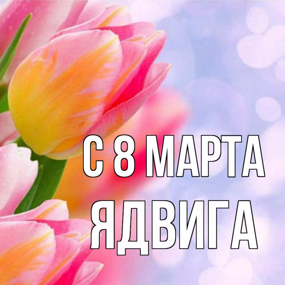 Открытка на каждый день с именем, Ядвига С 8 МАРТА тюльпаны 2 Прикольная открытка с пожеланием онлайн скачать бесплатно 