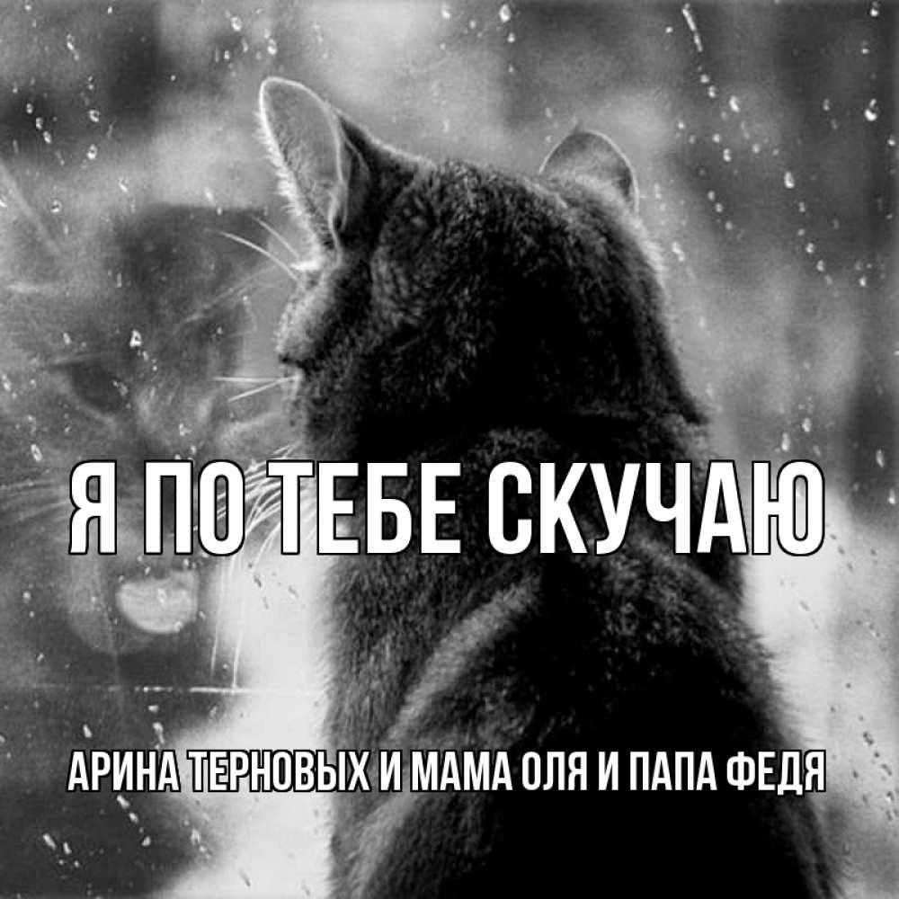 Картинки, открытки я по тебе соскучилась папе