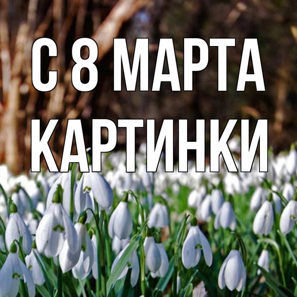 Открытка на каждый день с именем, Картинки С 8 МАРТА с подснежниками 1 Прикольная открытка с пожеланием онлайн скачать бесплатно 