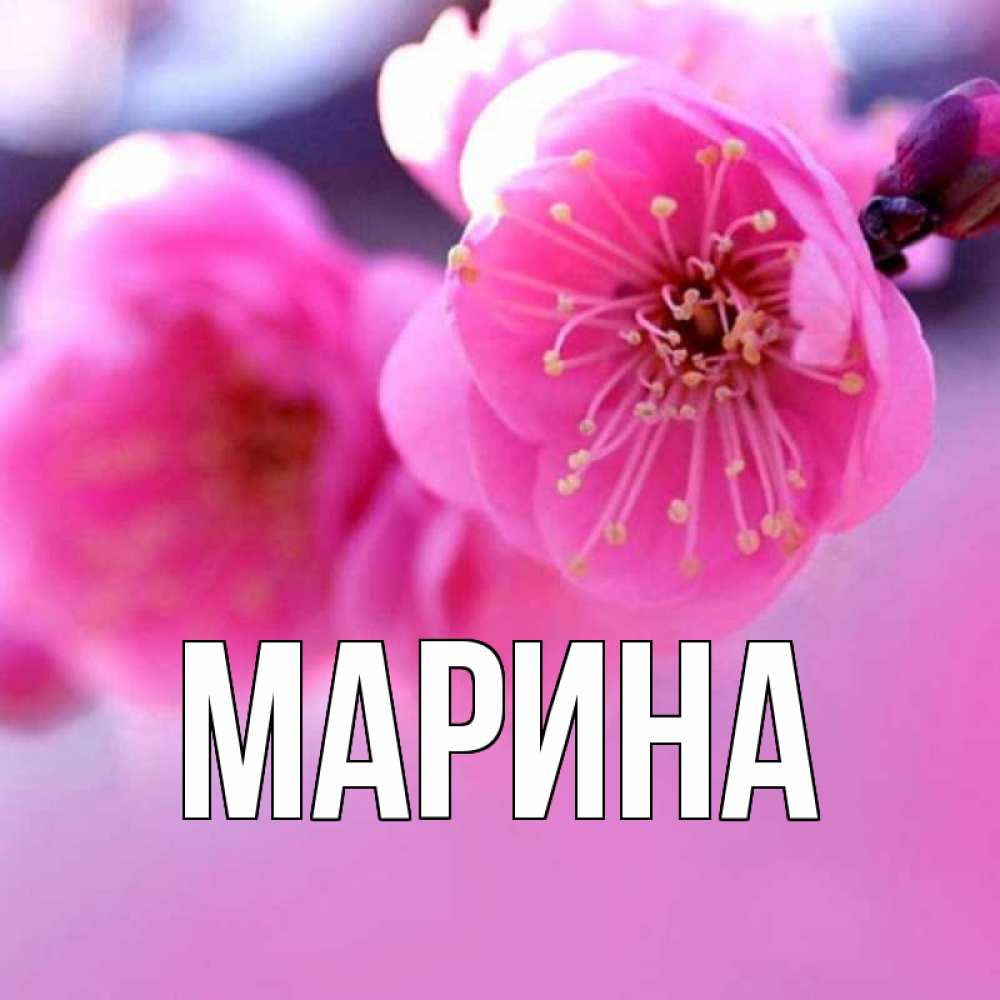 Открытка на каждый день с именем, Марина Главная международный женский день Прикольная открытка с пожеланием онлайн скачать бесплатно 