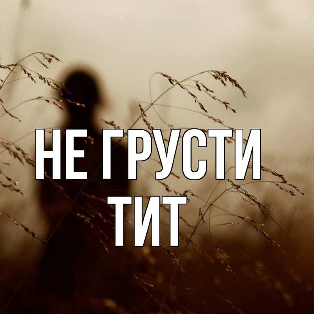 Открытка на каждый день с именем, Тит Не грусти грусть Прикольная открытка с пожеланием онлайн скачать бесплатно 