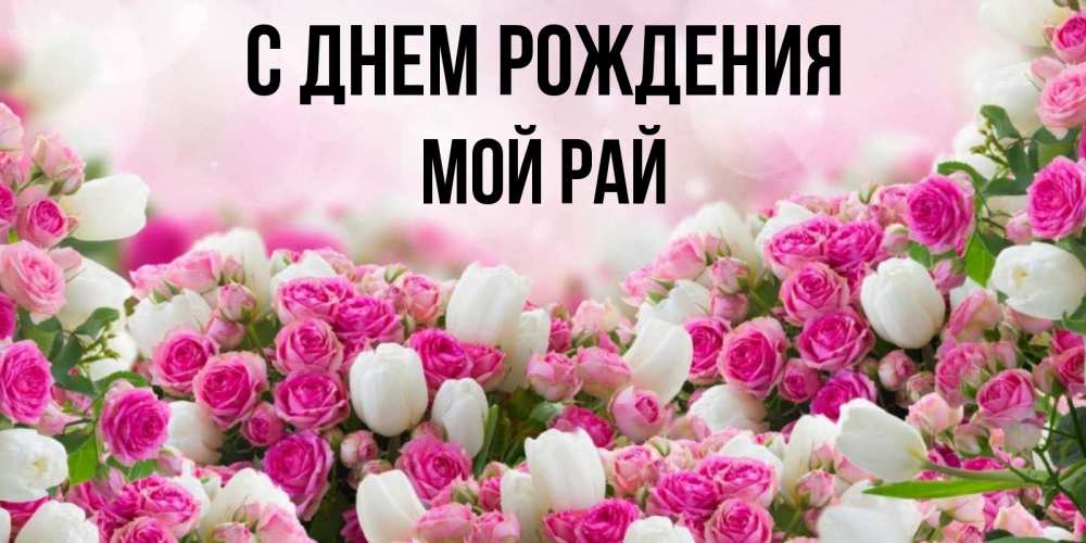 Открытка на каждый день с именем, Мой-рай С днем рождения открытка с разными розами Прикольная открытка с пожеланием онлайн скачать бесплатно 
