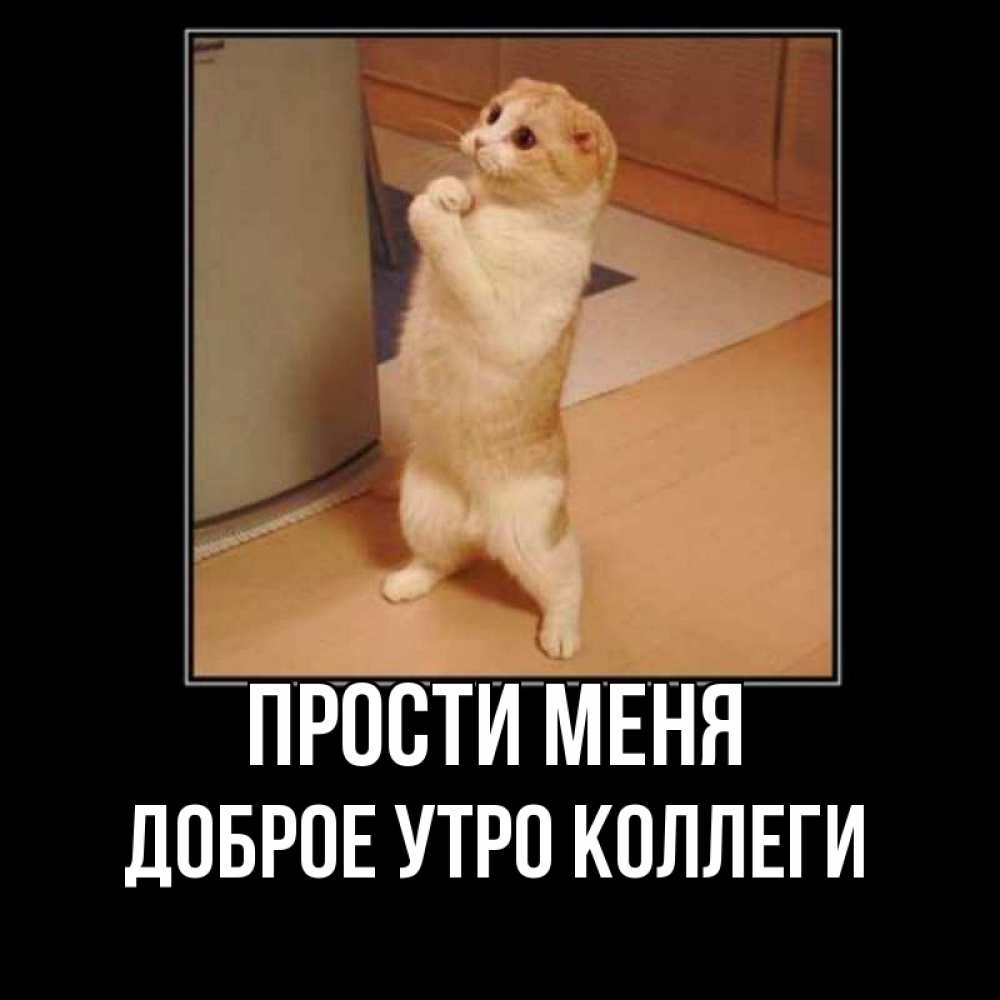 Так уж и быть прощу