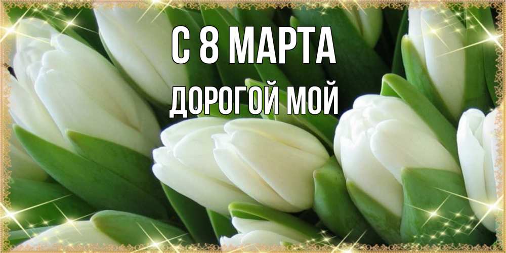 Открытка на каждый день с именем, Дорогой-мой С 8 МАРТА поздравляем с 8 марта Прикольная открытка с пожеланием онлайн скачать бесплатно 