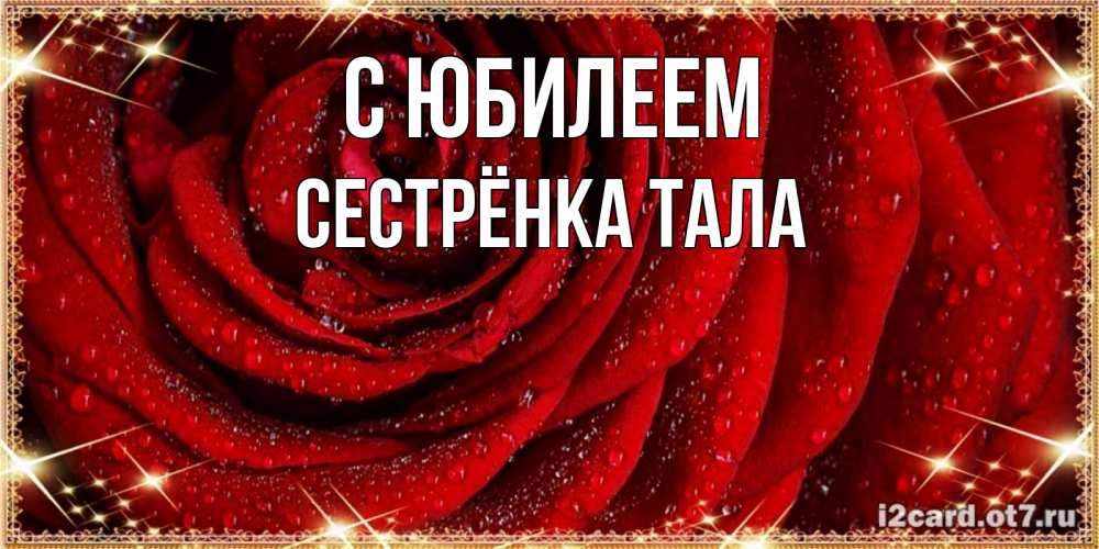 Открытка на каждый день с именем, Сестрёнка-Тала С юбилеем роса на розе блестящая в лучах солнца Прикольная открытка с пожеланием онлайн скачать бесплатно 