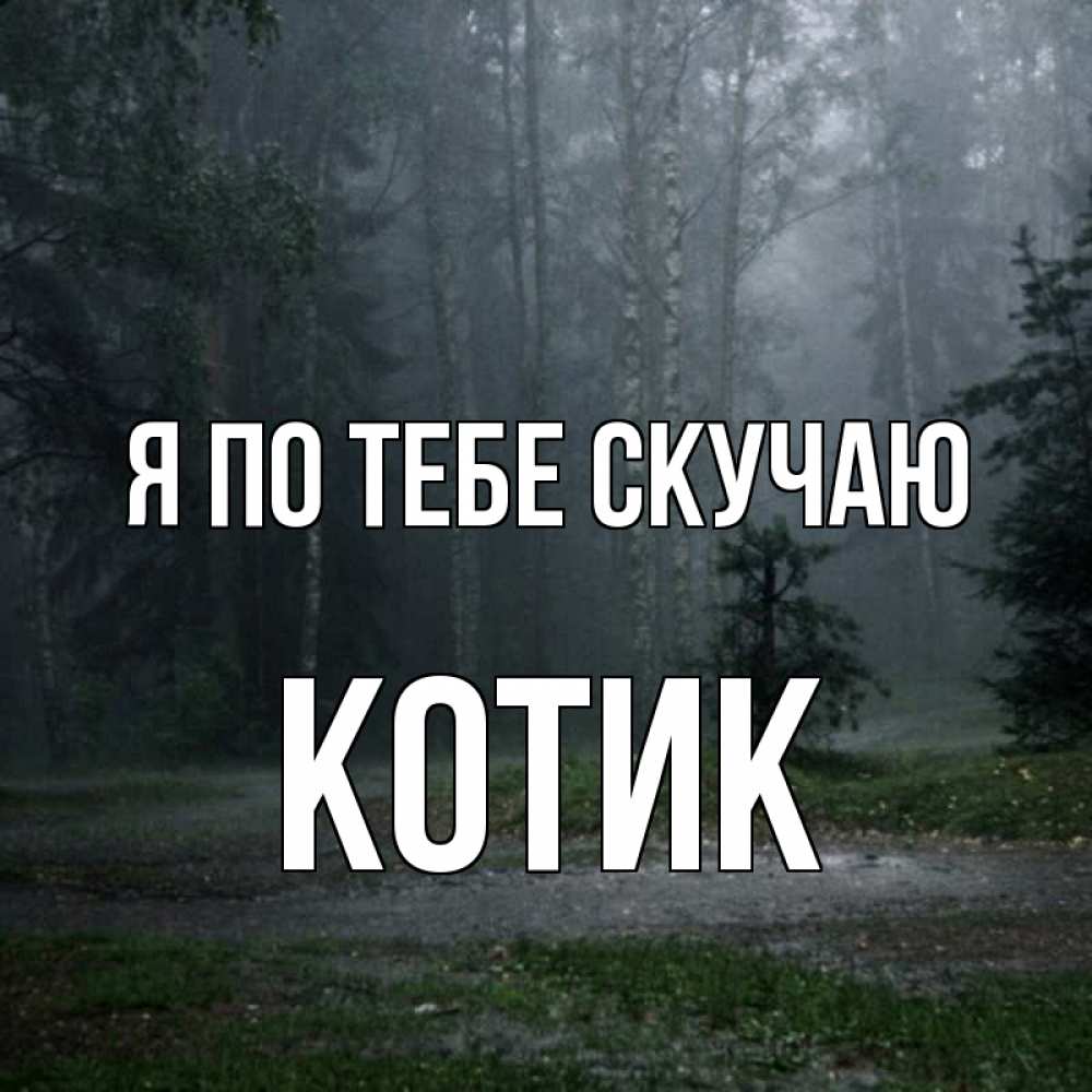 Открытка на каждый день с именем, Котик Я по тебе скучаю одна и плохо мне Прикольная открытка с пожеланием онлайн скачать бесплатно 
