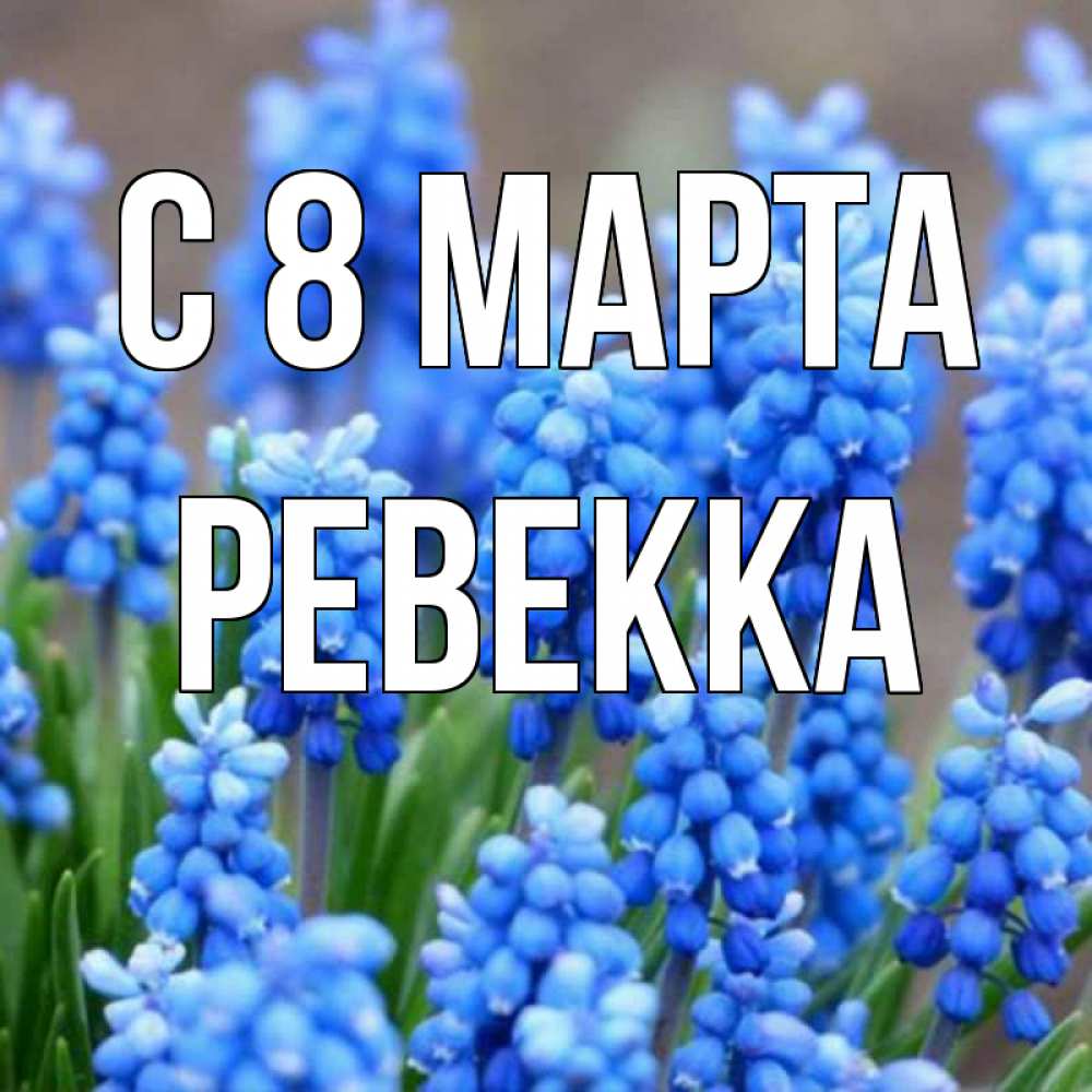 Картинка С 8 МАРТА, Ревекка