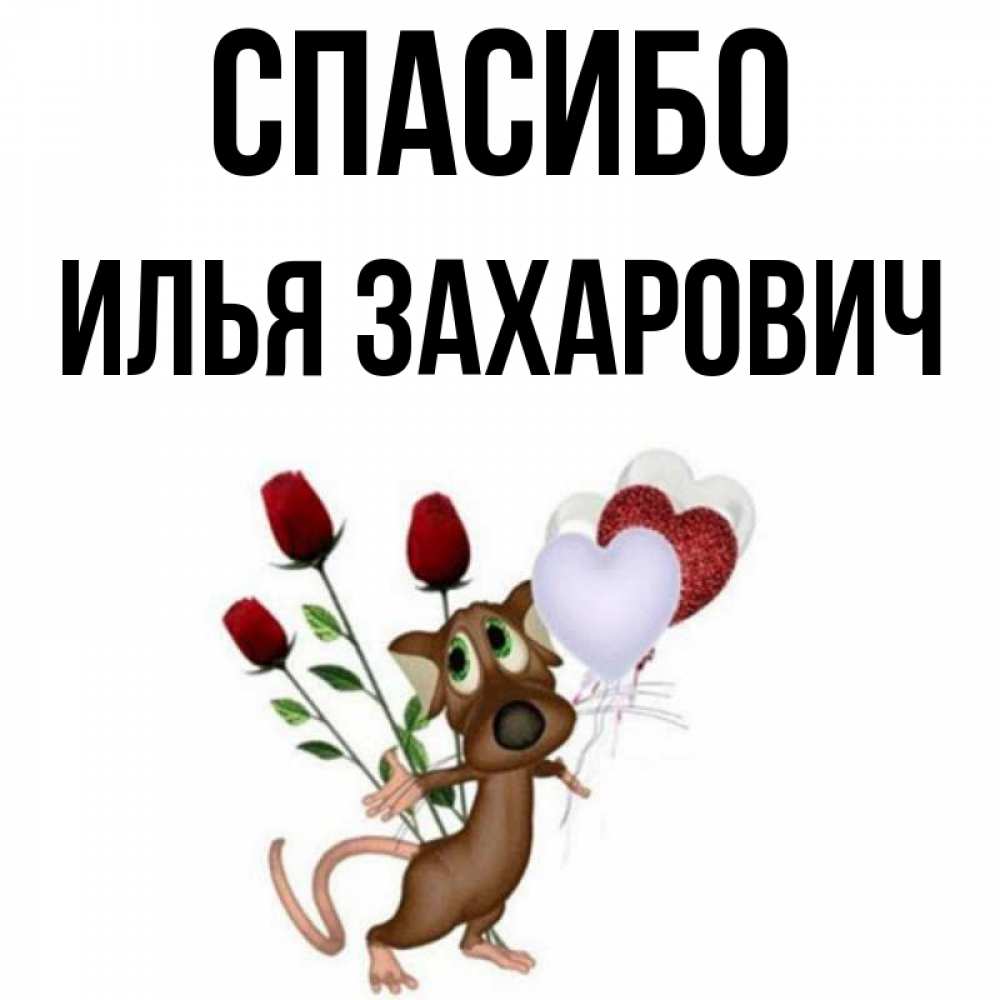 Спасибо Илья За Что