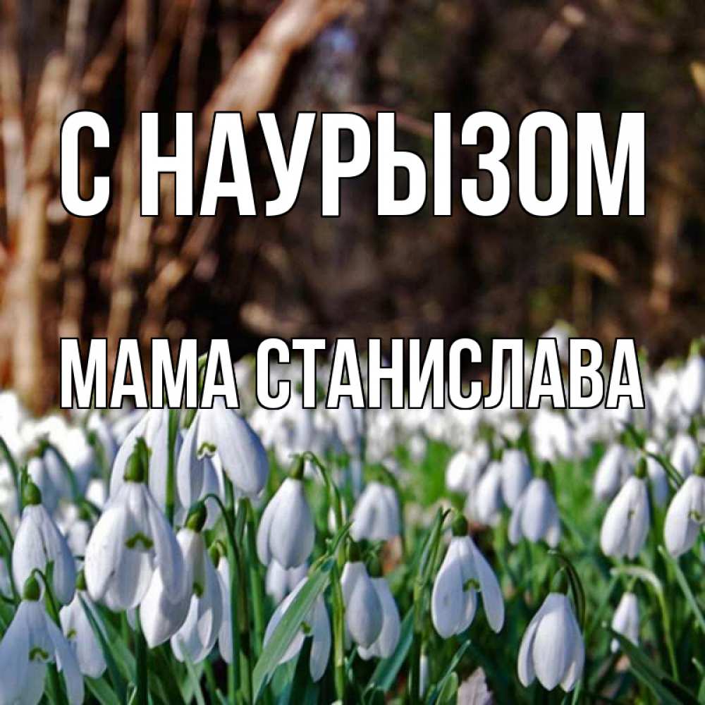 Открытка на каждый день с именем, Мама-Станислава С наурызом с подснежниками 1 Прикольная открытка с пожеланием онлайн скачать бесплатно 