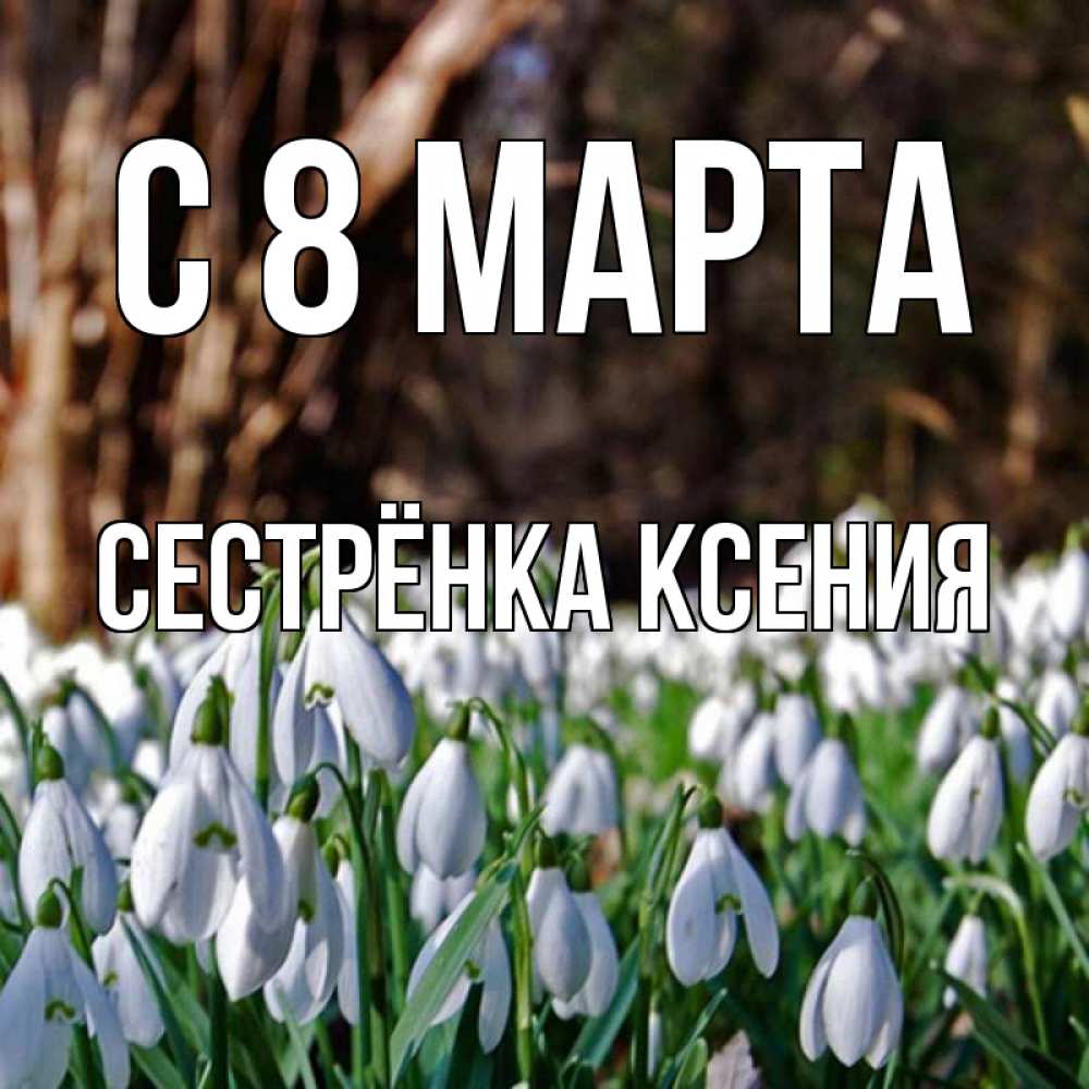 Картинка С 8 марта, Сестрёнка Ксения
