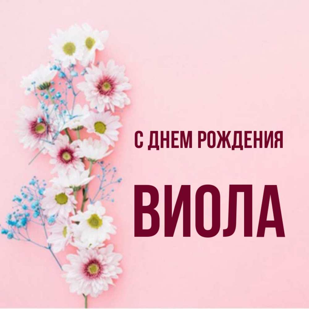 Виола имя