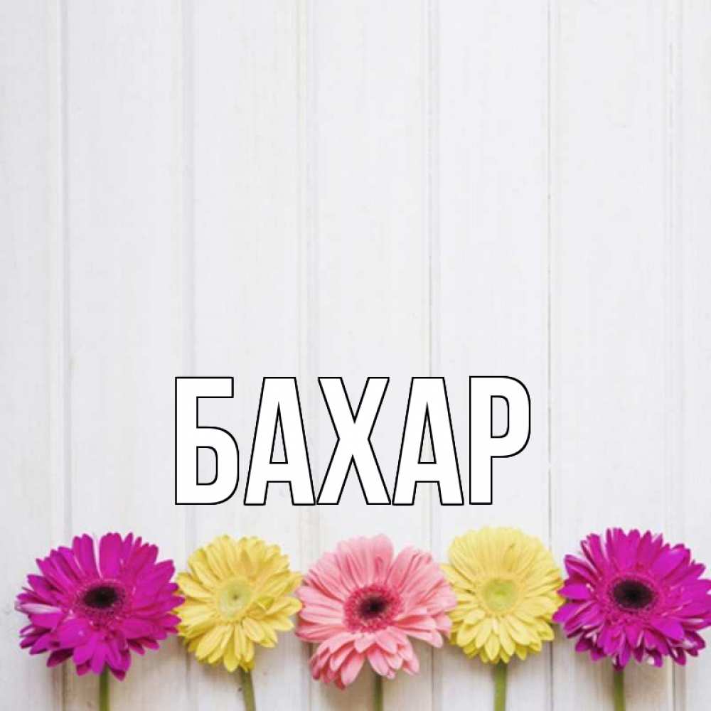 Открытка на каждый день с именем, Бахар Главная женщинам 1 Прикольная открытка с пожеланием онлайн скачать бесплатно 