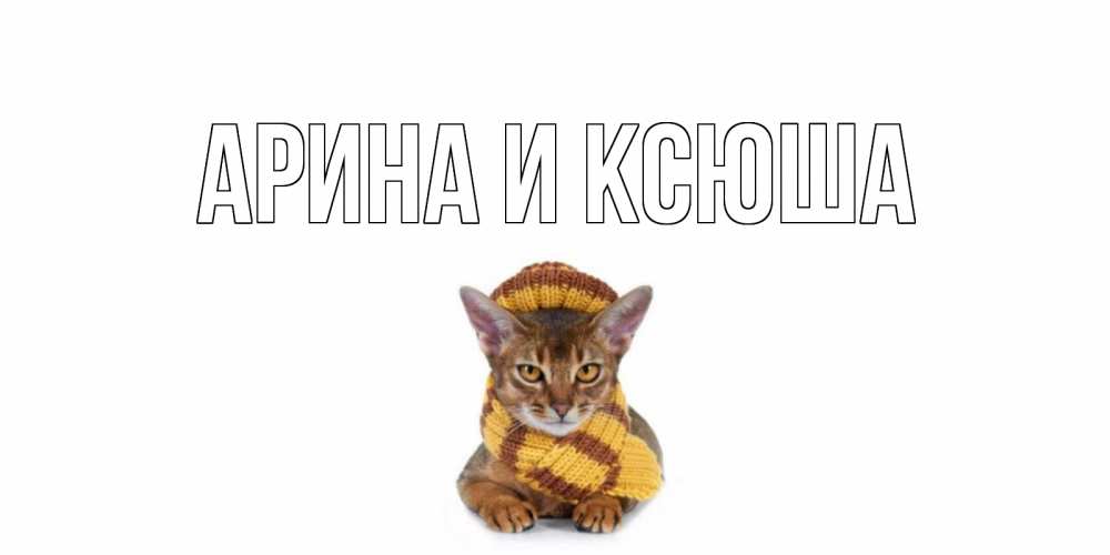 Открытка на каждый день с именем, Арина-и-Ксюша Главная родные не болейте Прикольная открытка с пожеланием онлайн скачать бесплатно 